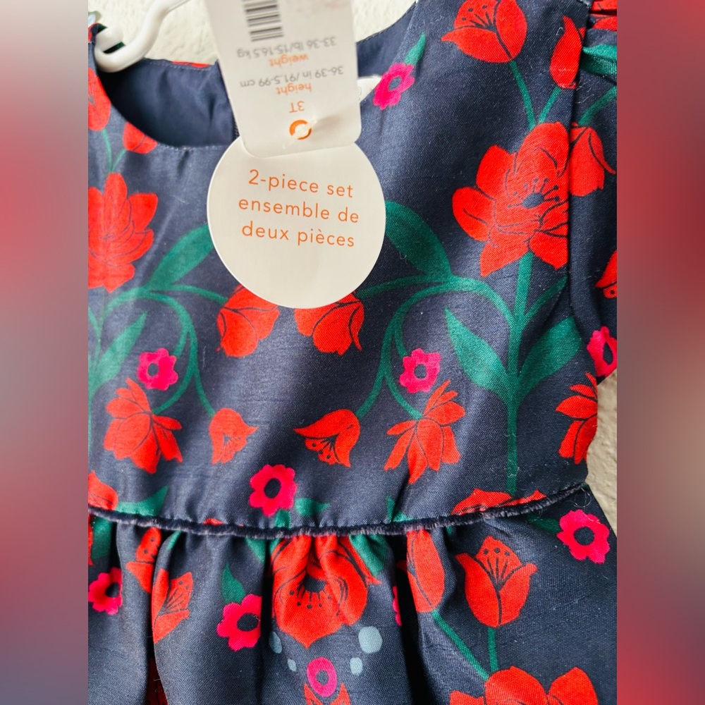 βοΈπΉ Toddler Formal Dress 2 Piece Gymboree - Picture 15 of 16